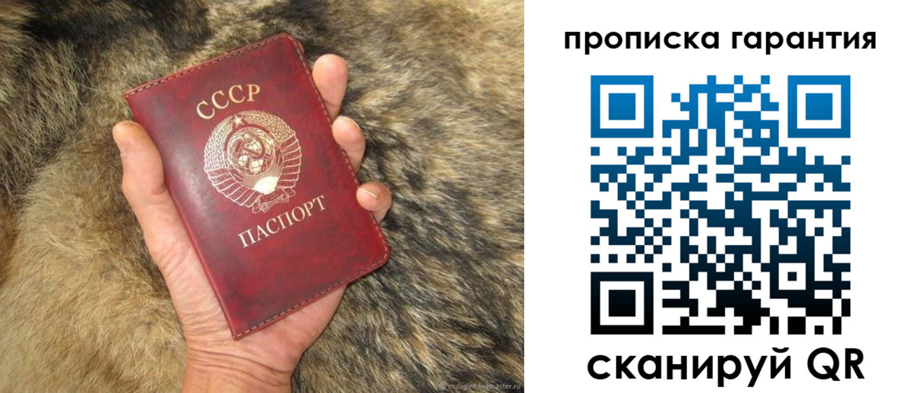 временная регистрация гарантия в Кинешме